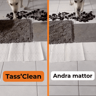 TassClean™